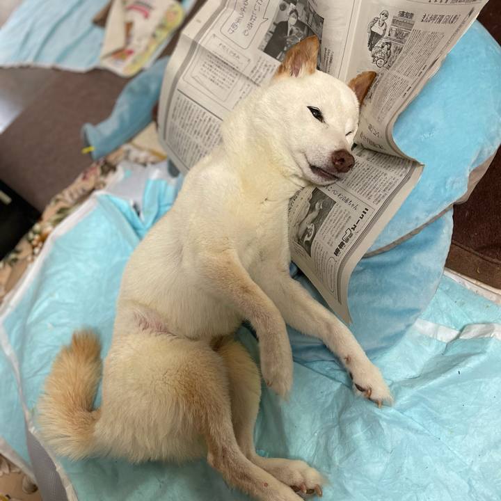 785257c2 ba24 4e8d bce9 3866c74ff9a6 1659753018513