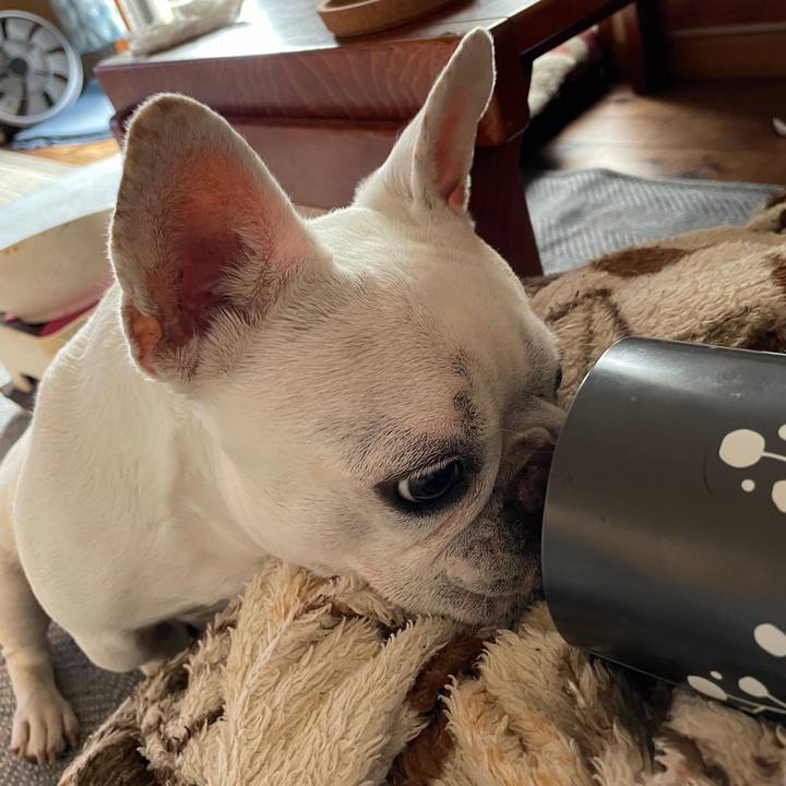 7852583e fff8 4ebf 9f61 59e075152ac8 1749943001743