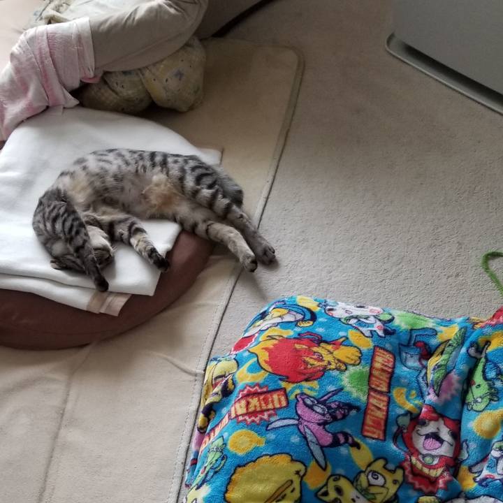 785273cf 2a64 4160 ad4a f5b14df0b2c5 1678710471225