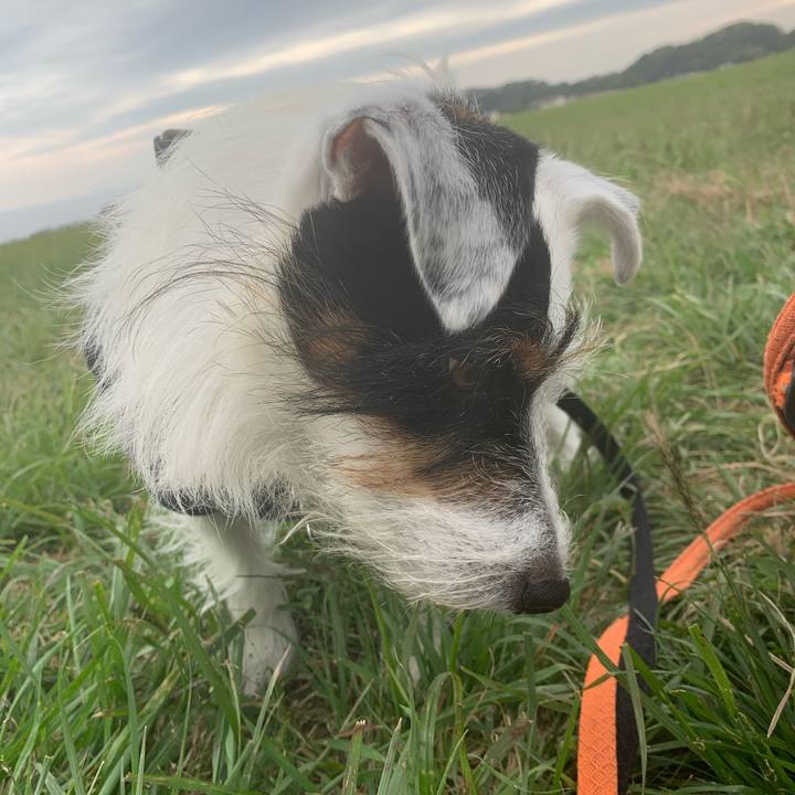 78527ea6 8be9 4a36 a943 6dd7d10f53a1 1601864093119