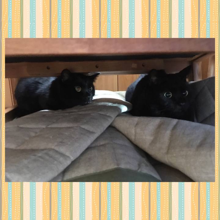 7852f5c0 84c2 4149 be10 9420955cd03b 1566444050512