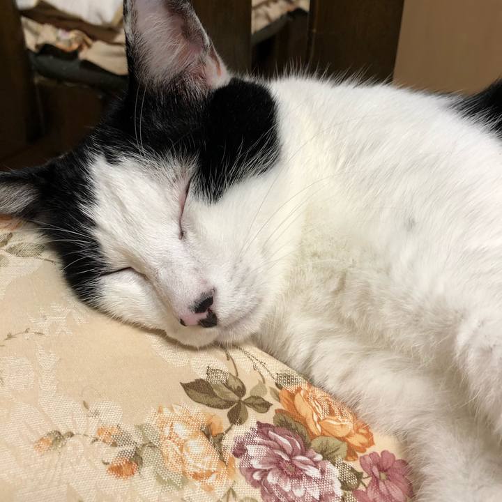 78534f97 1f48 4cee bd27 7846c64a909c 1566496905523