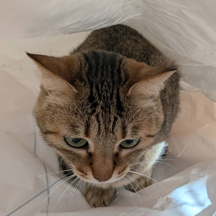 7853564e ef26 4ef4 a180 69275c14da82 1768602183253