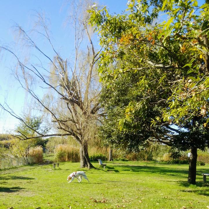 78537d20 7d87 4b69 bfc5 f6cba51ac03c 1543063728975