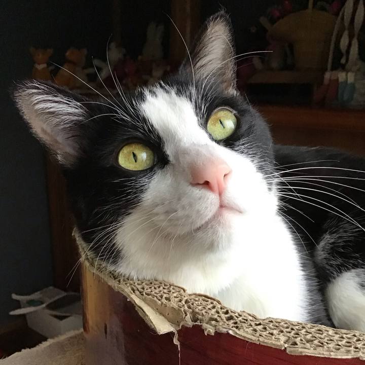 78537fab 8e14 4e9b 8429 247855a17521 1744106494286