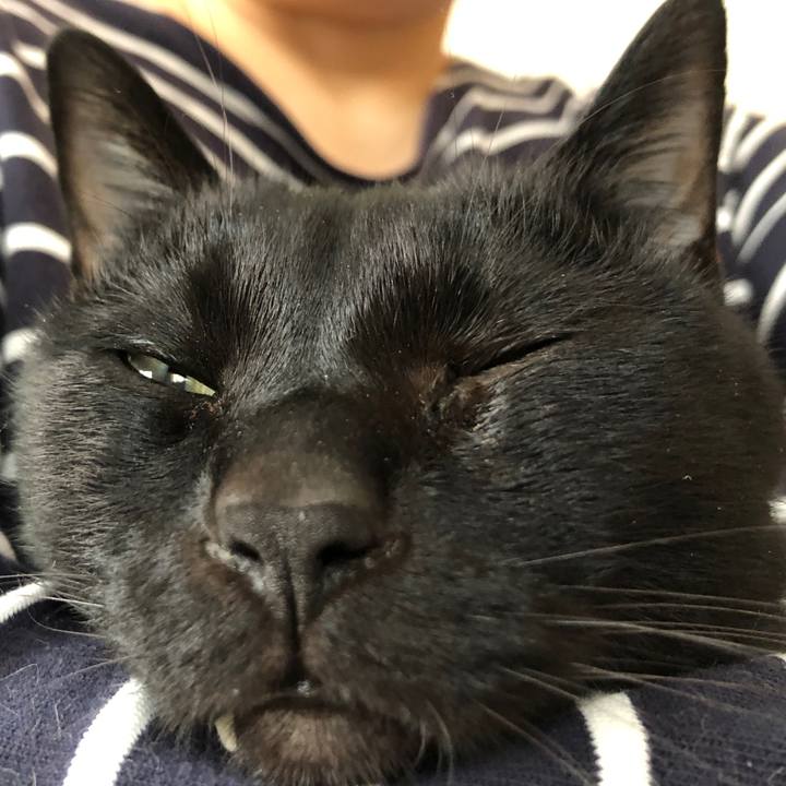 78541c17 2009 4671 8083 ea0edb98db95 1677882240023