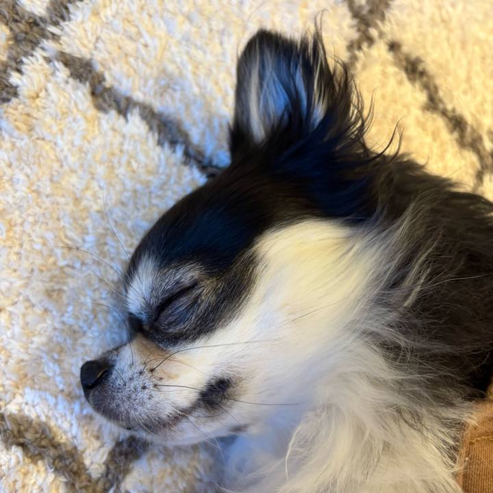 78544e54 48e0 4bad b37a 03c1dfd4d95a 1734799239212