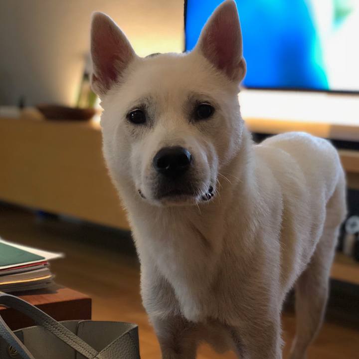 78546b32 5b68 449e 8e23 c669ebfdfd6f 1532518625310