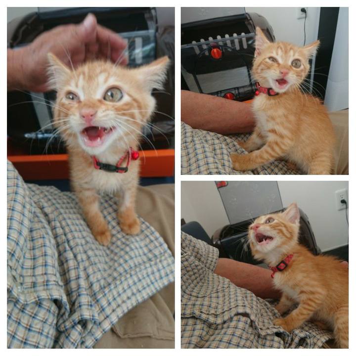 78548b17 bbeb 4408 aa5a 2698f8fca9d1 1628476262625