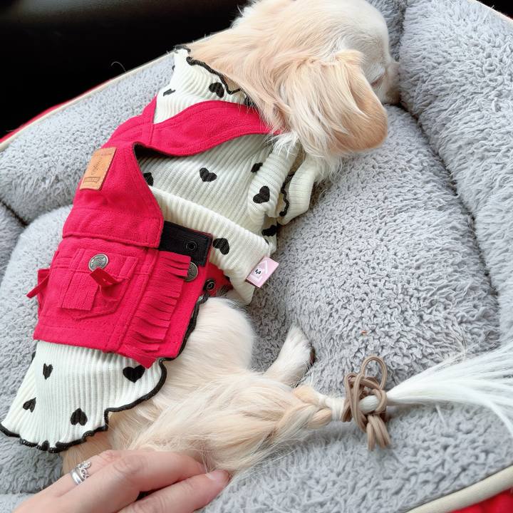 7854afe6 8bd8 4bcf b524 08e9ae589073 1710921793971