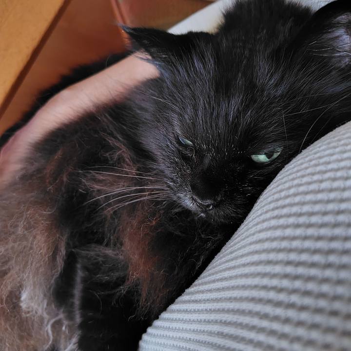 7854eda5 c5fc 4736 876a 7e042ecc3eb4 1728196546715