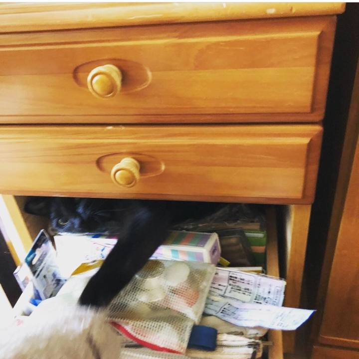 7855a26f b1f6 4762 b2b0 9af1b65d1887 1528462042221