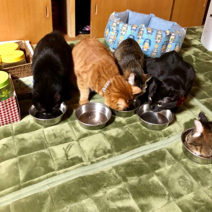 7855b1d0 257e 4fba 913c 099f6e17ed79 1512736029545