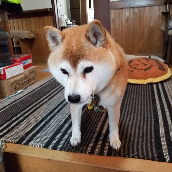 7855b295 2153 4ab5 a8d0 f292a6c71310 1640137433001