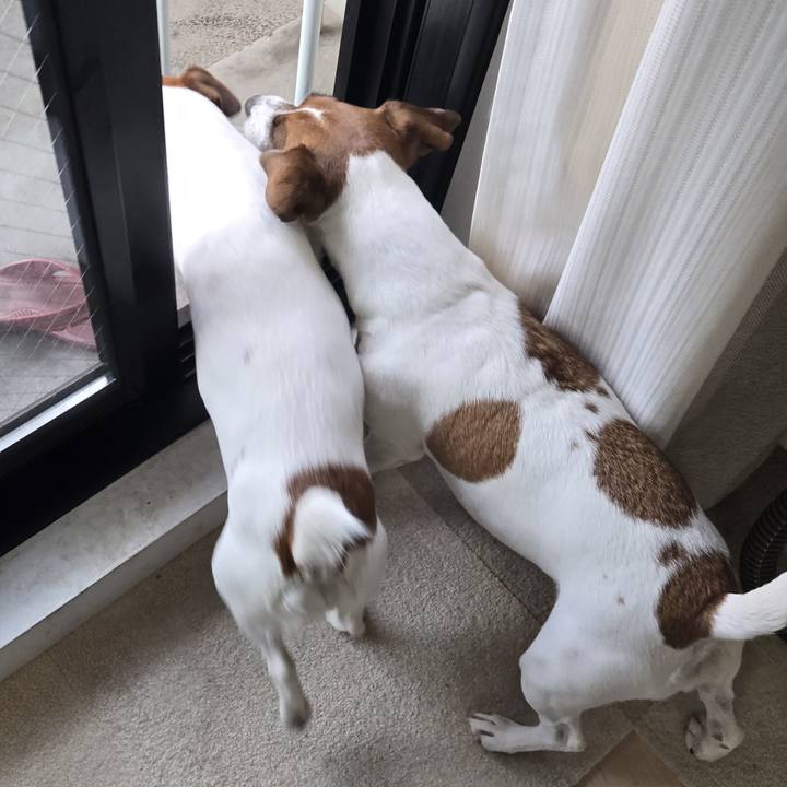 7855fd1f ec00 4c9e b5e7 44e367353ff1 1766628216372