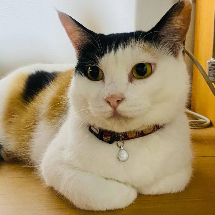 78560041 d5be 48cb bf76 08c80ba150eb 1657745703806