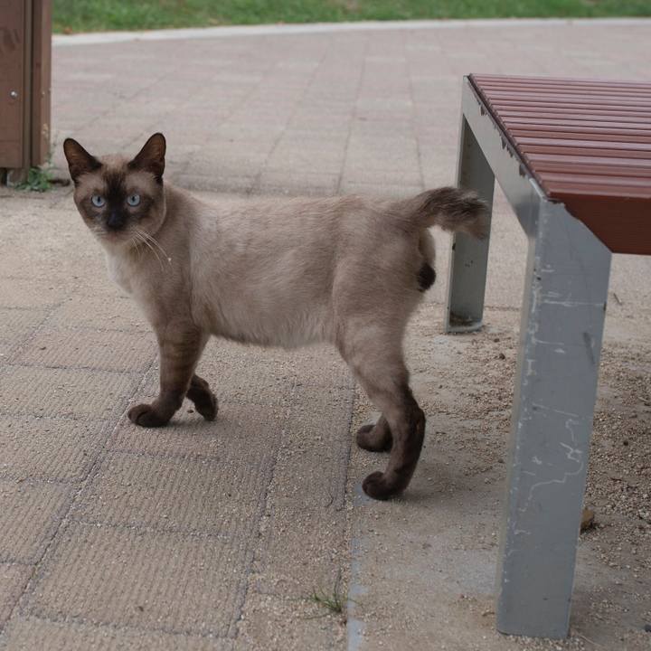 78561372 93cc 4df0 bf97 68636ff855c9 1533961906731