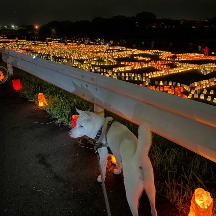 78562685 e697 4d91 b9a0 9086fe360e7a 1696075627175