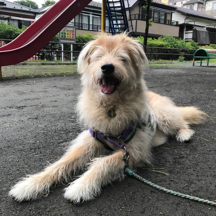 78565040 5cc7 4b44 958e 65f8c625753d 1561796296173