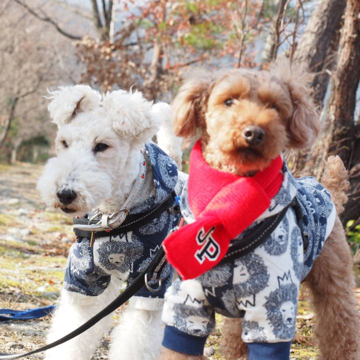 7856bac9 1bd1 48b3 896c aea8969a129d 1546667405858