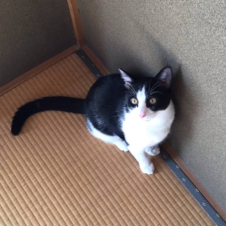 7856cd8c 6102 42d3 b3b8 c02d8609e4c2 1636089648023