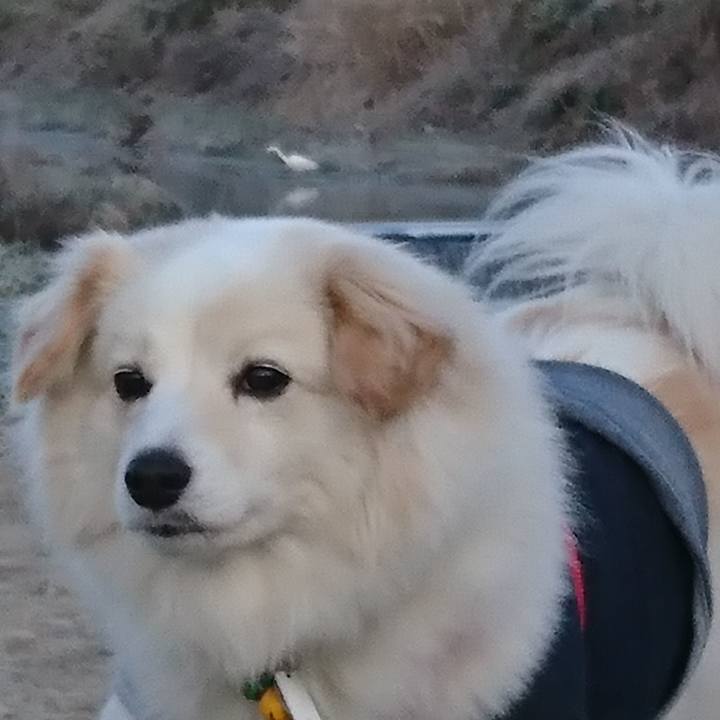 7856f280 3c44 405e a7e0 15e451efc764 1521323084534