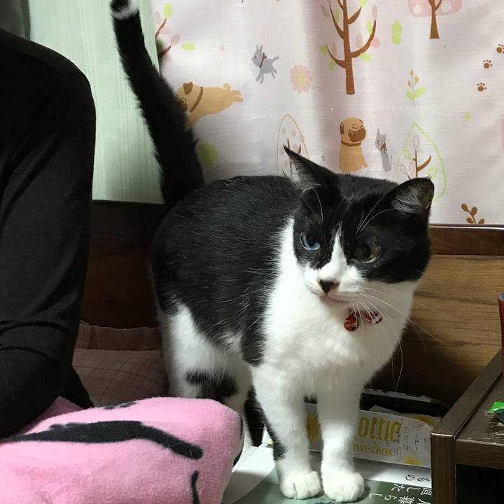 785727bf cfbc 45a9 b545 498106cae7f3 1539769726796