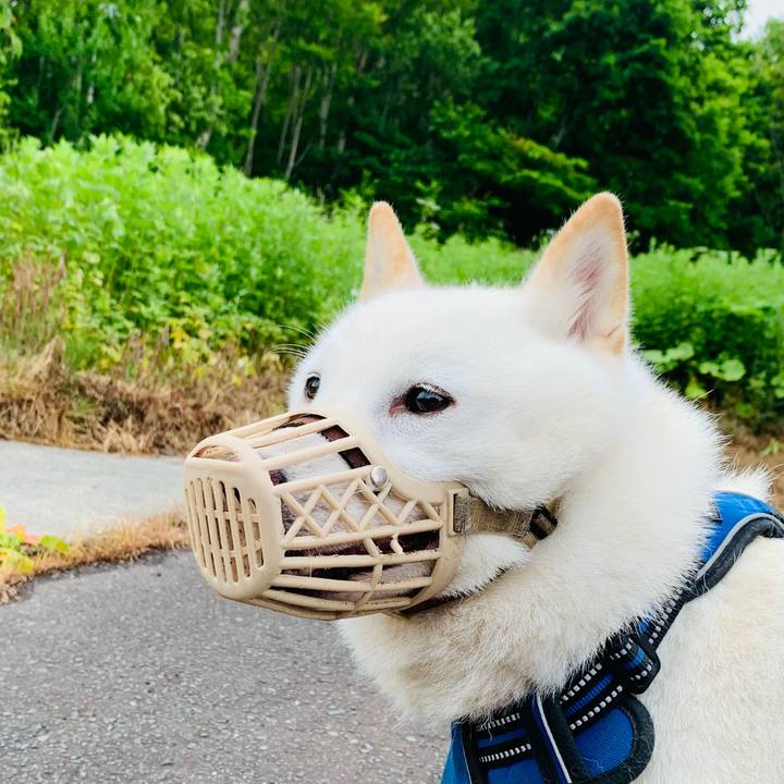 78573884 4a1a 4049 be9d a7e13dd97c67 1624655441828