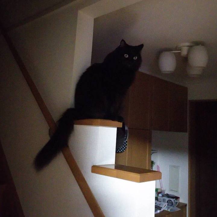 785778c4 b0a6 4408 9ac7 53f05d0ccd59 1542281854077