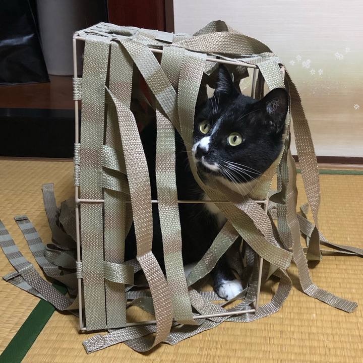 7857cbbb a2e4 467e b255 9d7d2707c1dc 1552448967147