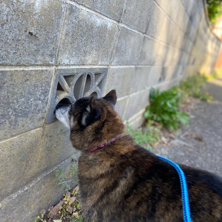 7857cfb7 5a9c 4336 88ed c3aa27db67ab 1681130006089