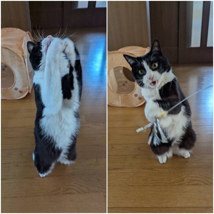 7857f6ae e6f8 42ee af9e 009788df9750 1744004617916