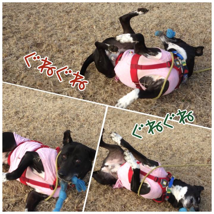 7858046f bed4 4342 9a29 08e59a604955 1676165597031