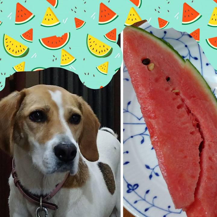 78580b45 a439 49d8 922d 1134bf8ef1eb 1591098623254