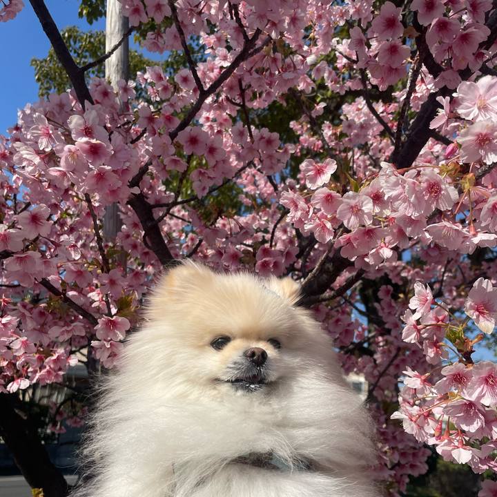 78580c4a 4f53 44bc 828e 7e01943d4249 1709534738954