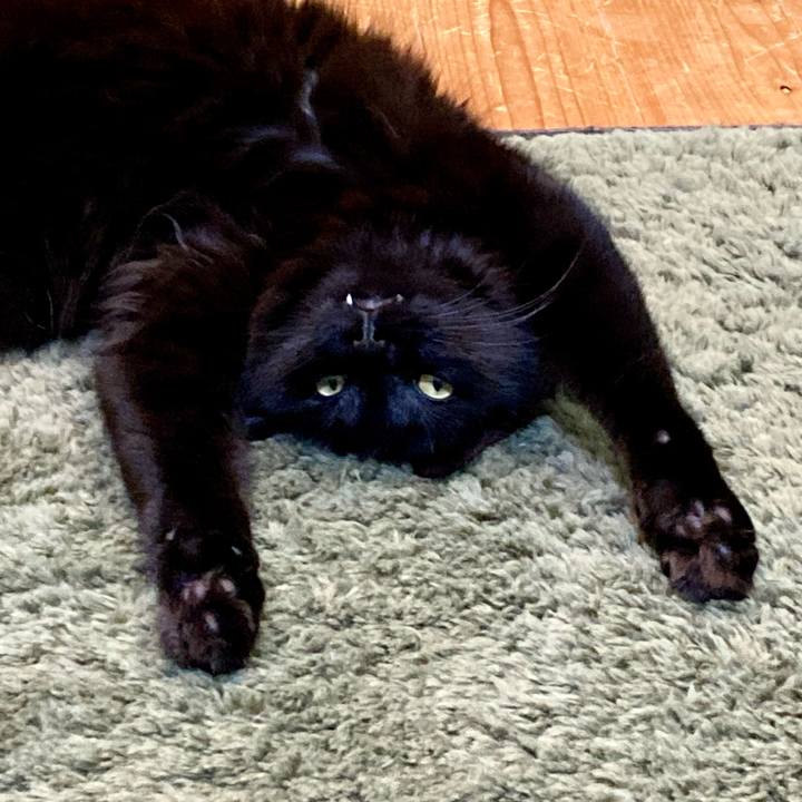 78580d74 6e5f 4590 a968 af2ad4fcefaf 1731157257926