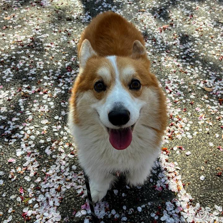 78581b1b e598 4a55 ad8c 5fa745197f03 1775888756875