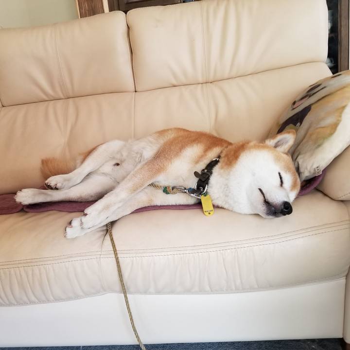 78582bf2 0db7 4d2e 8611 28e5cab13e15 1623288734321