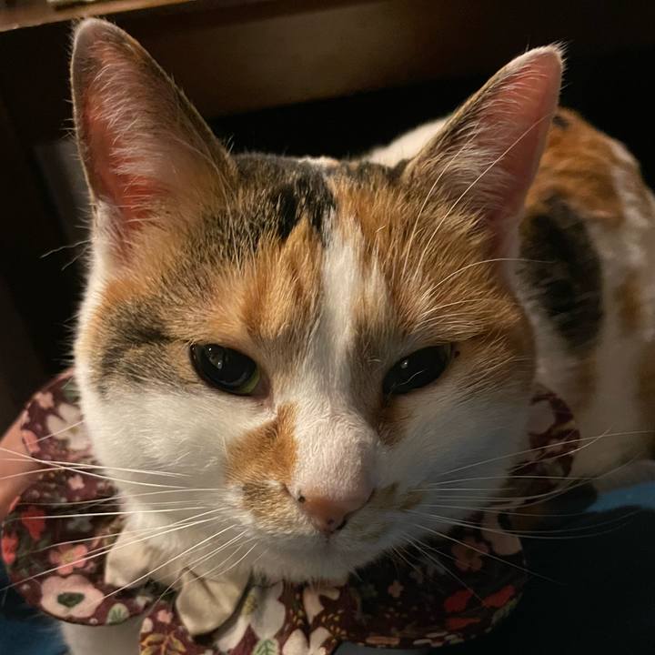 78582dc8 629d 45b7 a5a8 c0a6ebf97c86 1741013302021