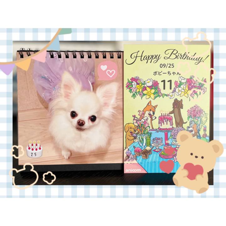 78586b74 9dff 48cd a470 61ee05f13d47 1664062246419