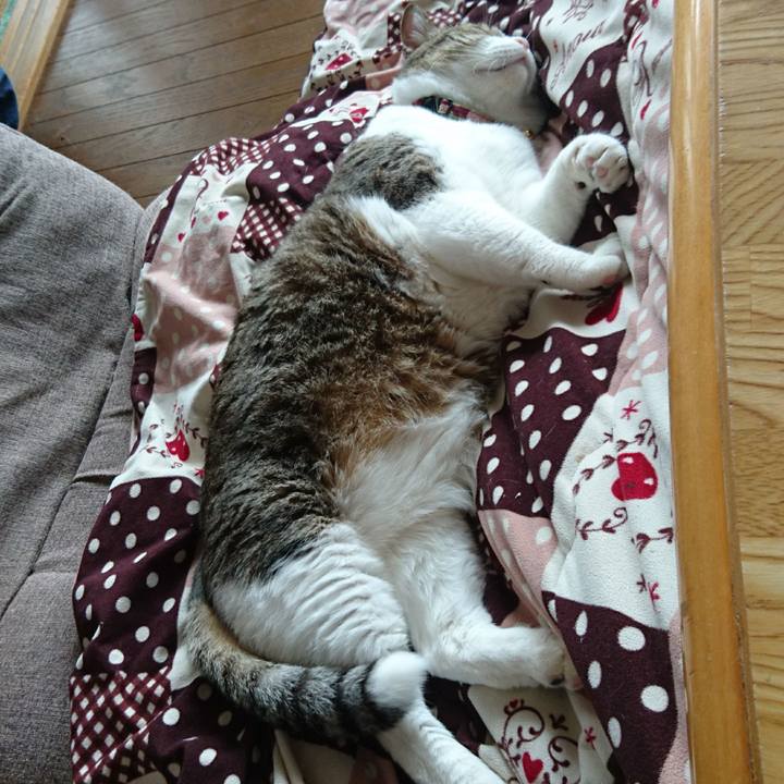 785878f9 befa 4164 beef e0bc981e0200 1556236962059