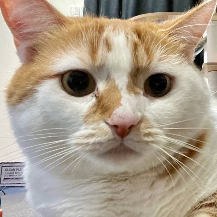 785889d5 e38c 4e1e bf89 45fa86a05ba5 1764386199333