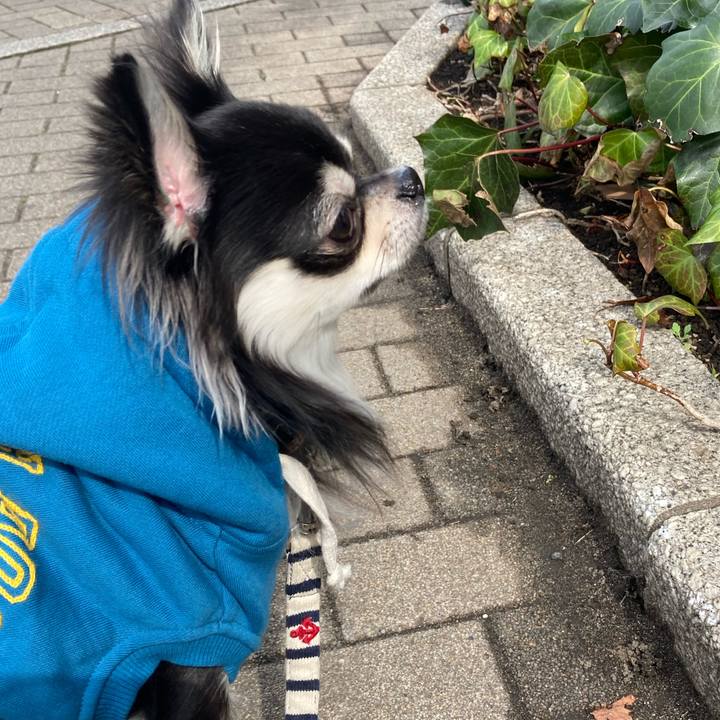 7858a5d5 11db 4f61 8d4a 26cb6ccc39f2 1615004502111