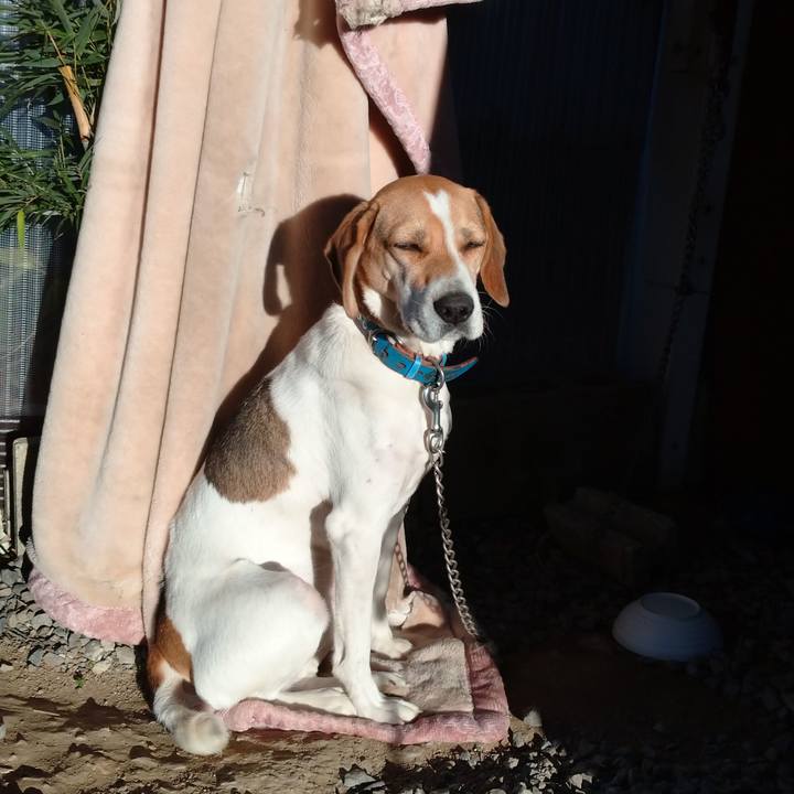 7858c597 29a9 4cf7 8c0c 27a2705d0ed1 1605341163995