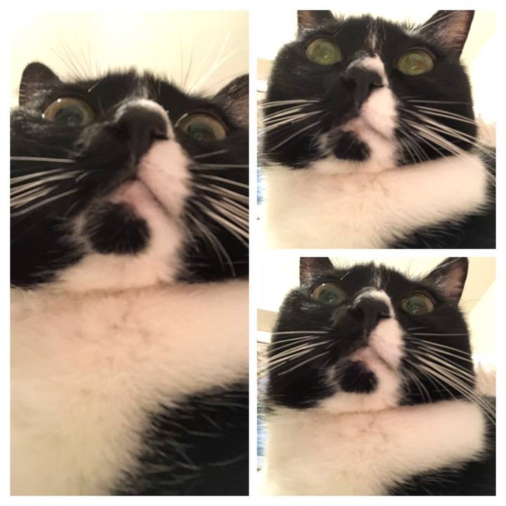 7858cd4f 54e5 4468 92bd 891700dce79d 1539898187872