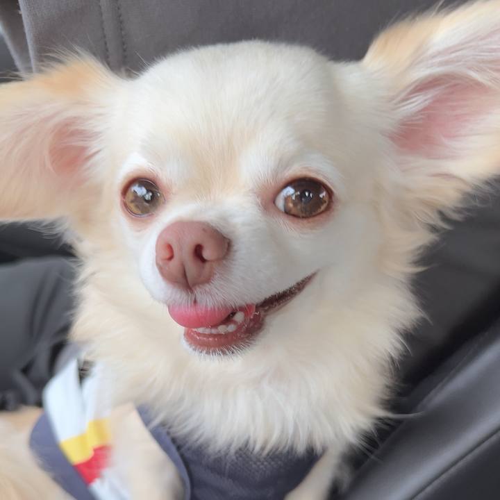 7858d56b 1275 471e a11a 67219049d681 1727498466814