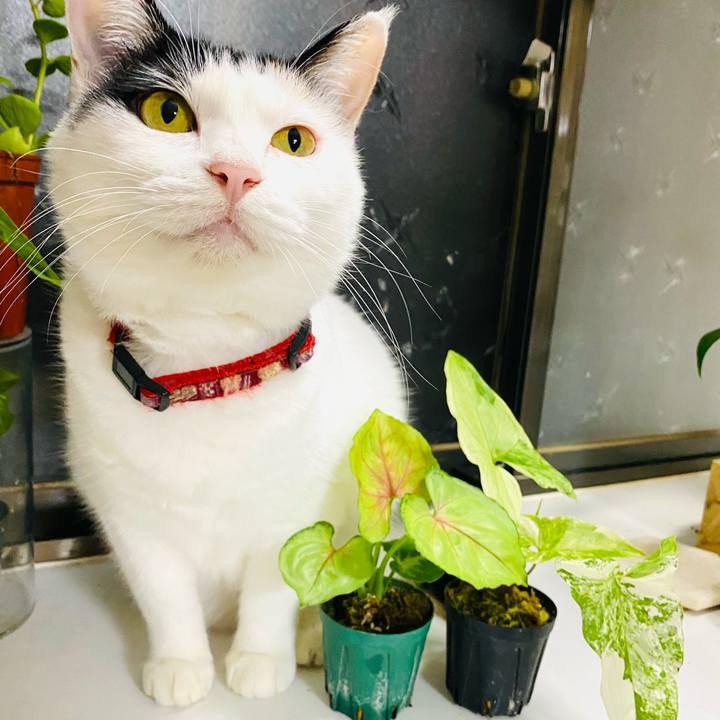 7858dcdb 3a9f 4dfa b02e b08f70c0e59b 1695212874161