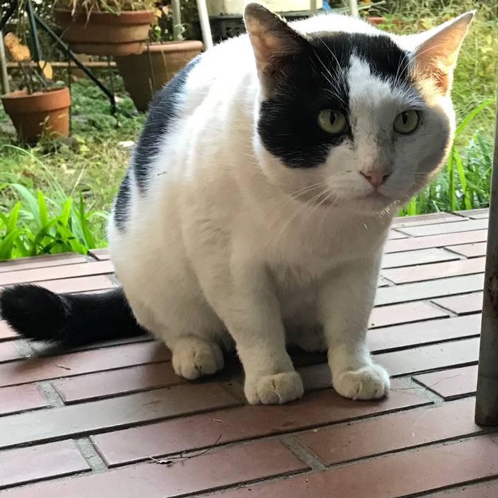 7858e621 7743 4ba5 aeef 99c7941859b5 1542077612960