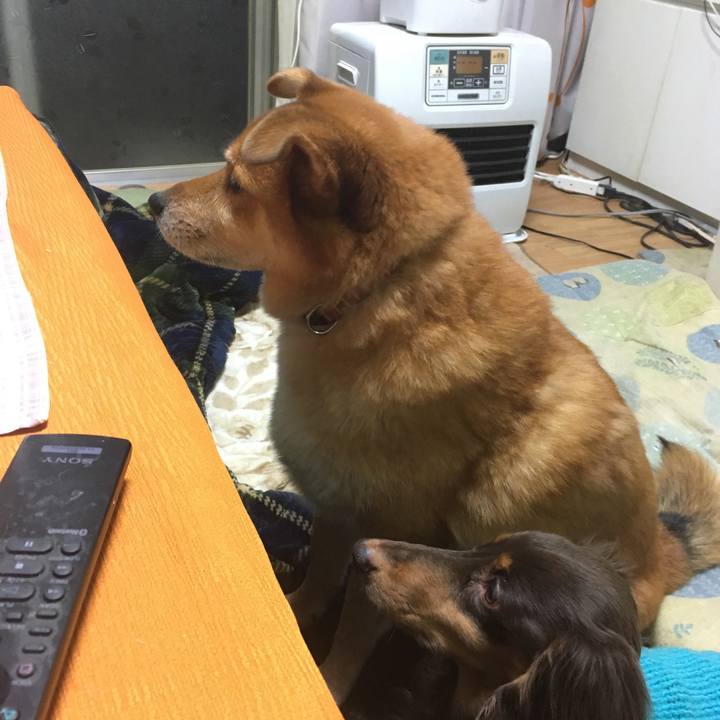 7858f889 0cdc 4d69 832c b90948166ebd 1514716022596