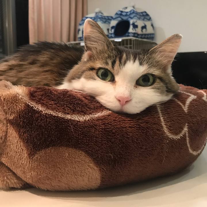 785933b5 a175 481c abee 0d9400a302b1 1521367500635